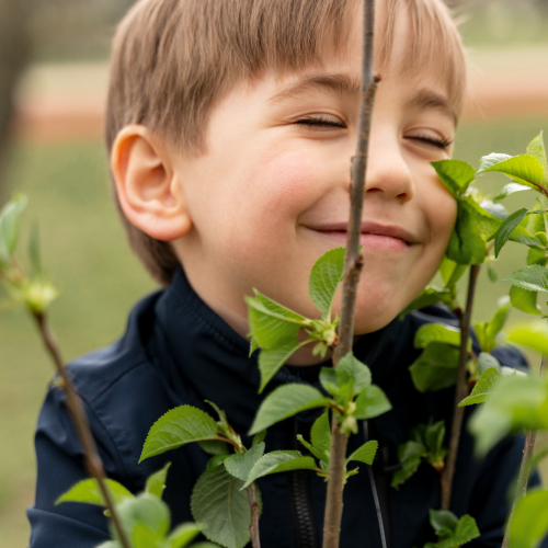 Beginnings Montessori Nursery