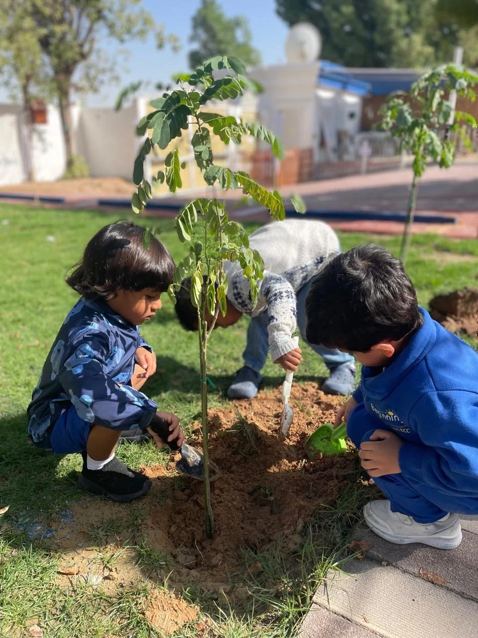 Children planting a tree.